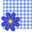 03cosu10.gif
