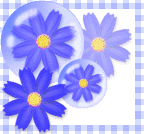 03cosu3.gif