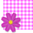 03cosu7.gif