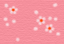 41308_328908.gif