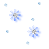b04.gif