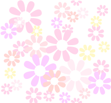 r16_91.gif