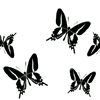 r22_1.jpg