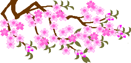 sakura2.gif