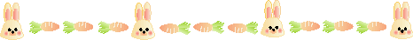 usaline1.gif
